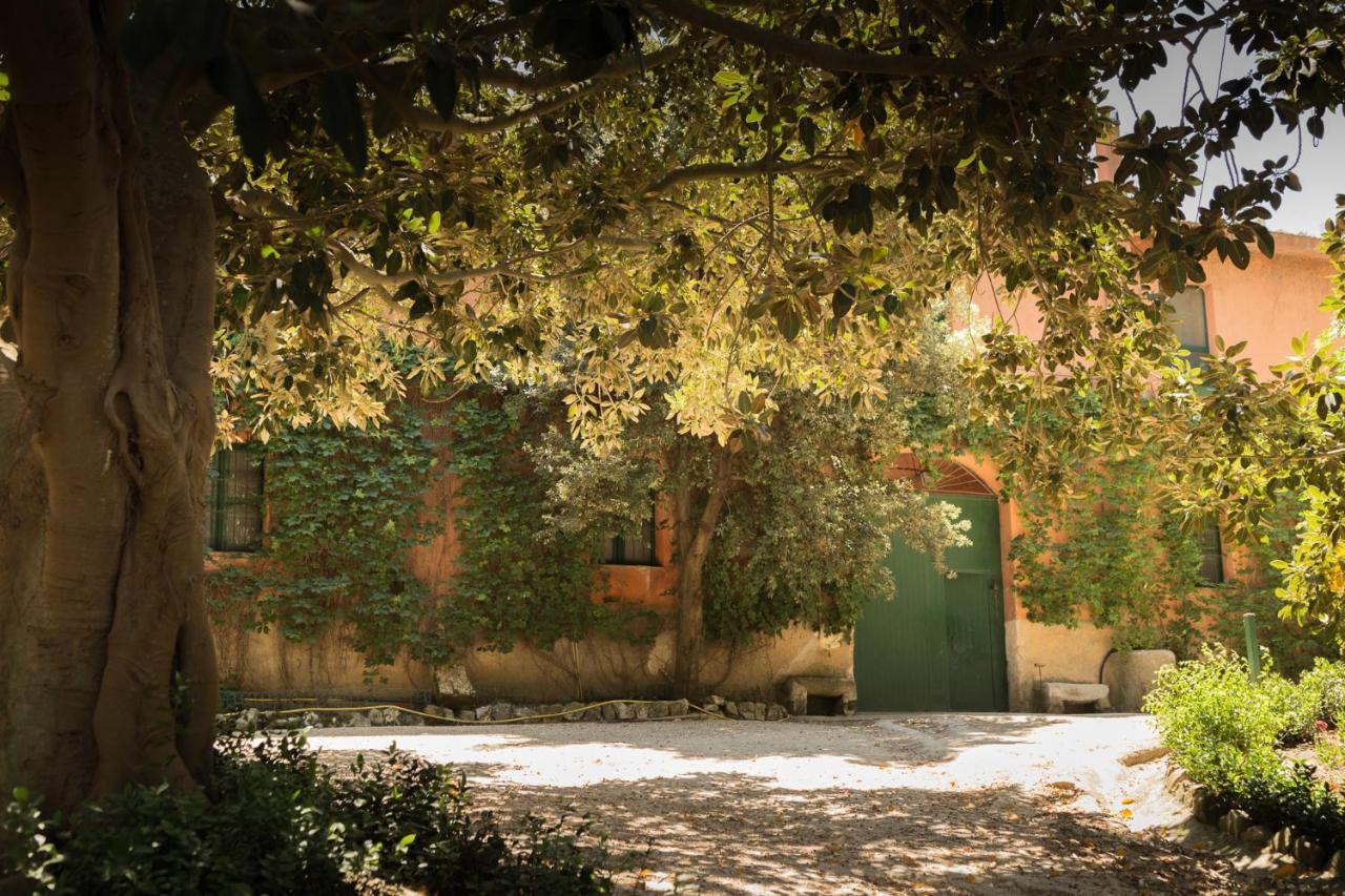 مونريالي Masseria Pernice المظهر الخارجي الصورة